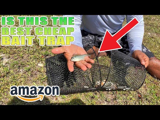 Is This the BEST Cheap BAIT TRAP on Amazon?