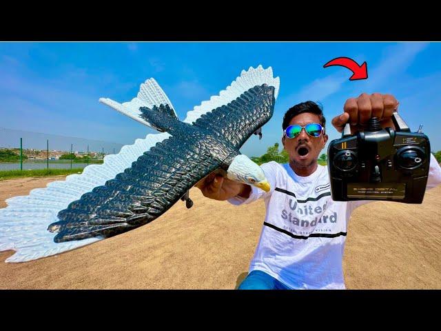 RC Flying Eagle Fastest Bird Unboxing & Testing - Chatpat toy tv