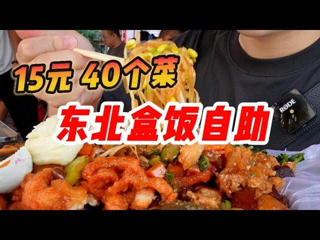 东北15元40多个菜的自助盒饭，锅包肉、红烧肉、溜肉段吃到饱