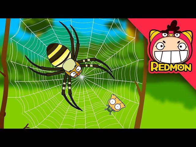 Spiders and flies | Insect world #13 | Cartoons for Kids | REDMON