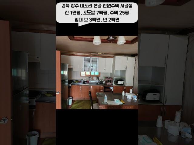 경북 상주 대포리 산골 전원주택 시골집 년세 임대