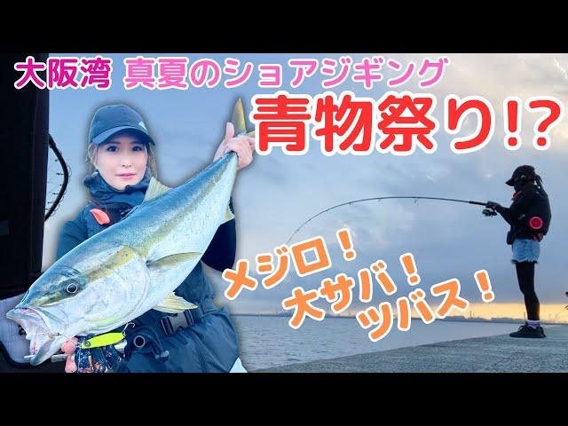 【初心者釣りガール】真夏の沖堤防で青物祭り！？【ショアジギング】