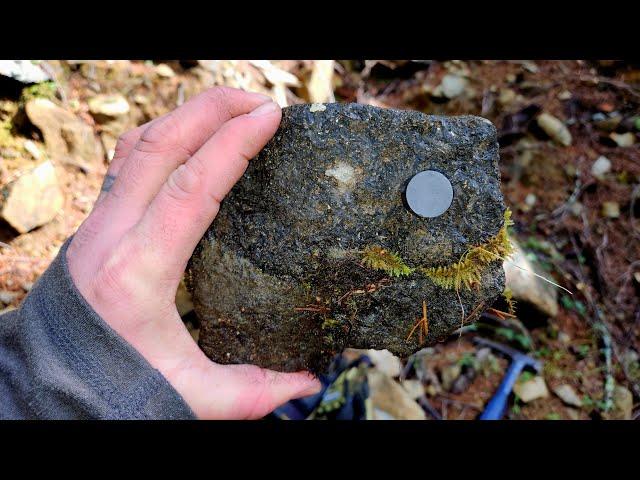Magnetite Outcropping Over Hundreds Of Meters!