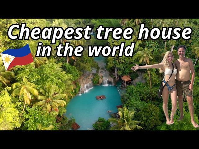 You Won’t Believe This Is the World’s Cheapest Treehouse — Just €4 a Night on a Mystic Island!