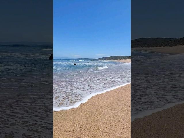 Point Addis Beach #shorts #summer #beach #travel #melbourne #ripcurl