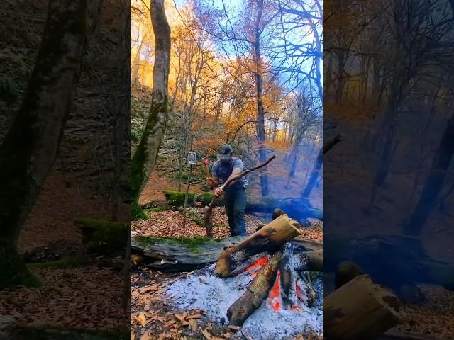 1 year ago#bushcraft #nature #survival #camping #طبیعت #سفر #mountains #یوتیوب #shorts