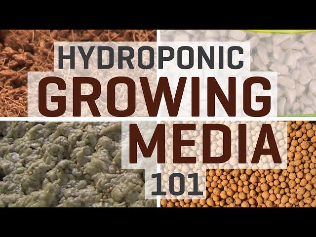 Hydroponics: Growing Media 101