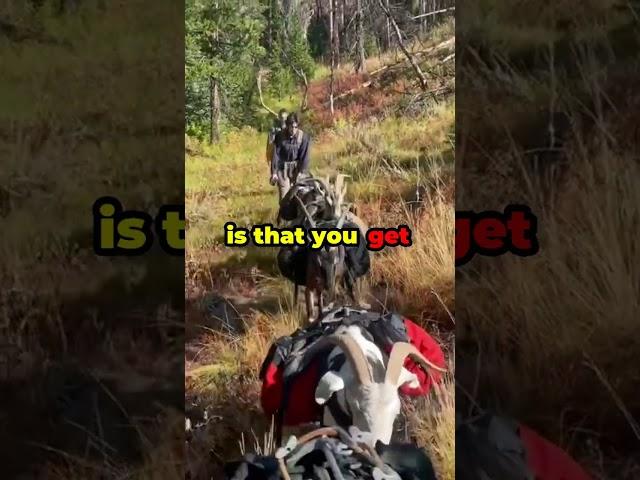 Unlock the Secrets to Perfect Pack Goats!