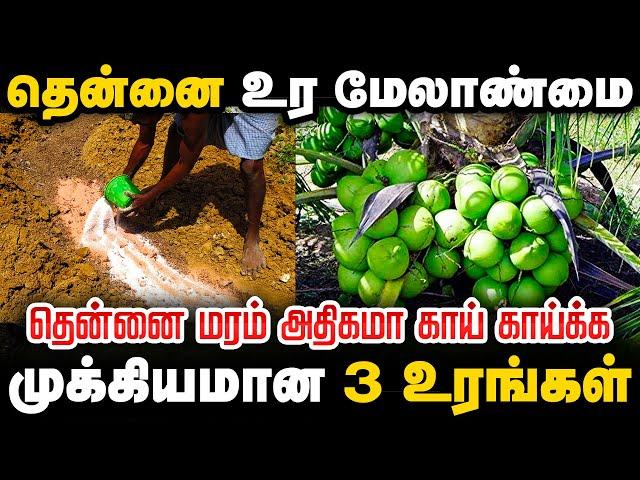 தென்னைக்கான உர அட்டவணை | தென்னை இயற்கை உரம் | COCONUT TREE ORGANIC FERTILIZER  in TAMIL| TCG |