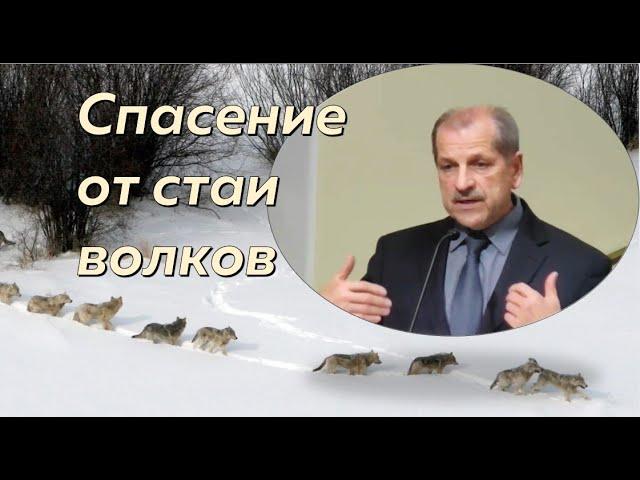 Помни путь 6/7. Спасение от стаи волков \\ Владимир Миняков