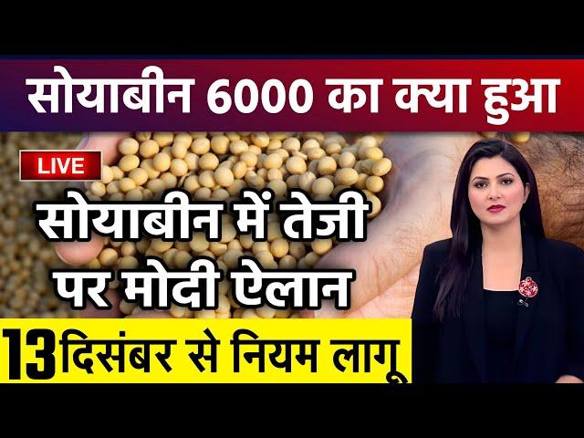 सोयाबीन 6000 कब होगी? Soyabean bhav Soyaka rate, Soyabean mandi bhav aaj ka bhav 13 दिसंबर 2024