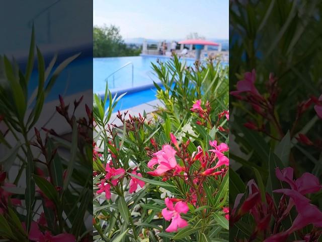 Квартира в Сочи в ЖК МЕРКАТО для жизни и отдыха! #сочи #стасбобровсочи
