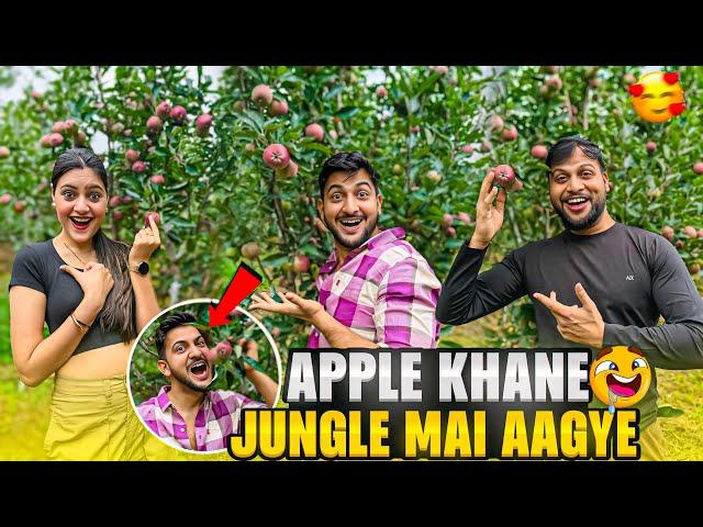 Apple Khane Jungle Mai Aagye Full Maze | Vinay Thakur Vlogs