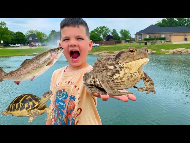 CALEB and MOMMY look for GIANT FROGS & TURTLES and GO FISHING with DAD in OUR BACKYARD POND!