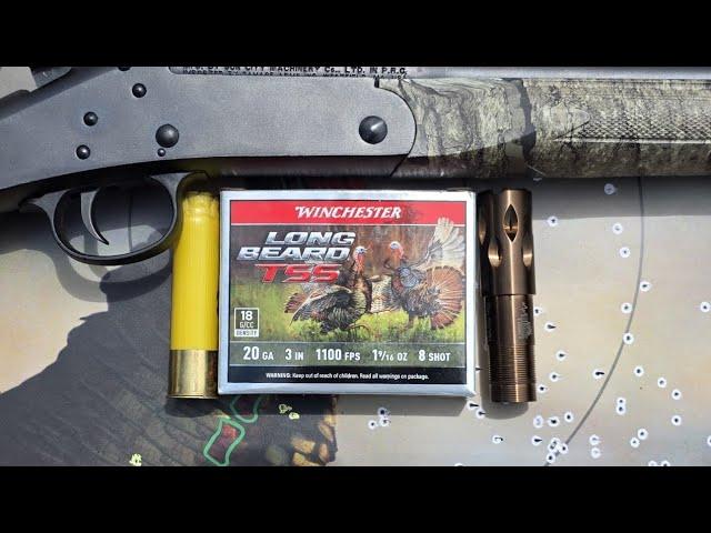 Deadly Combo! Winchester Longbeard TSS 20ga 3" 1-9/16oz #8 Test W/ Stevens 301 & Patternmaster .565