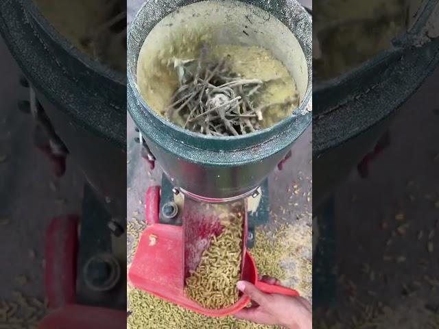 Innovative Feed Pellet Machine with Inclined Rollers for Balanced Pressure and Extended Durability