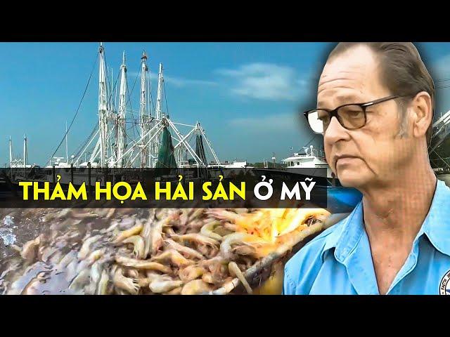 Chuyện lớn rồi - Làng chài người Việt ở Mỹ -  thảm họa Hải sản | Bayou La Batre Fishing Village