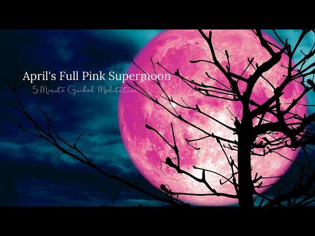 April's Full Pink Supermoon | Connect with Your Inner Strength & Wisdom | 5 Minute Guided Meditation