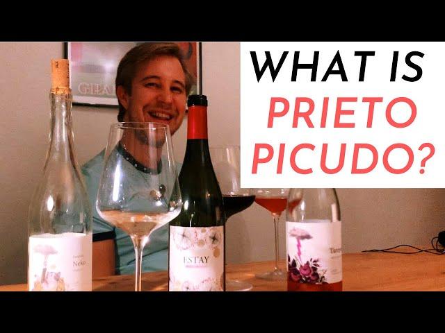 Prieto Picudo shines as Rosé & Red | Wine Ghosts Tasting