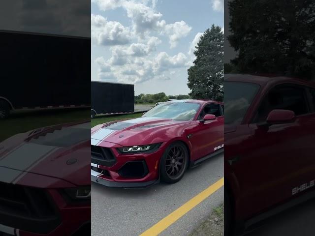 2025 Shelby Super Snake  #Ford #Shelby #Supersnake #Mustang Video: Marcus Cervantes