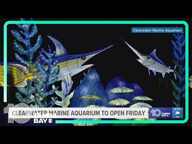 Clearwater Marine Aquarium reopening with new light show