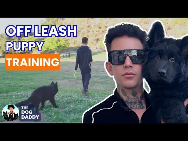 My 4 Month Old Puppy Is AMAZING Off Leash,Here’s How I Trained Him..( Secret Technique ).