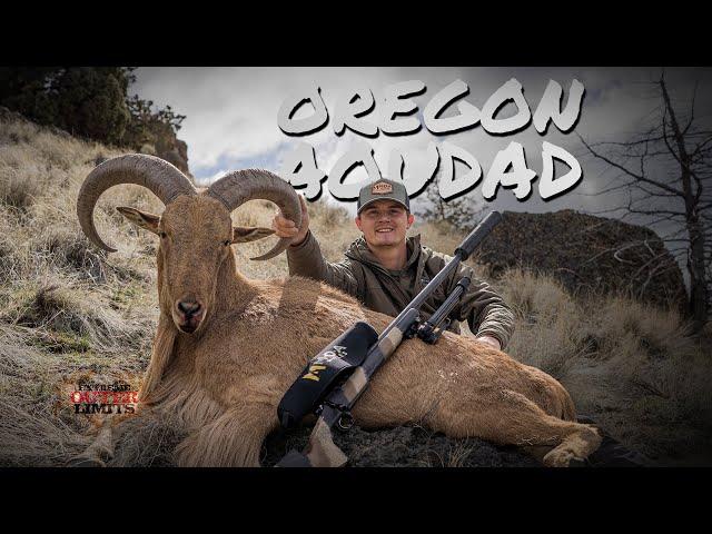 Oregon Aoudad - MOA Rifles - 4K