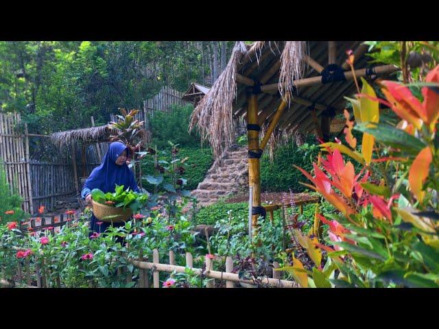 Simple & delicious village cooking | everything is in the garden | Living in the Village