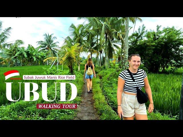 Hiking in Ubud  Magical Rice Trails of Subak Juwuk Manis Bali | Complete Details