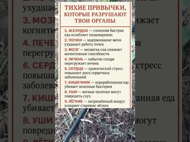 НЕЗАМЕТНЫЕ ПРИВЫЧКИ, КОТОРЫЕ МЕНЯЮТ ТВОЮ ЖИЗНЬ