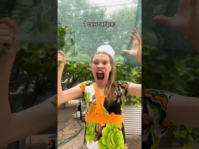 Это ежегодное настроение  #tiktok #юмор #жиза #funny