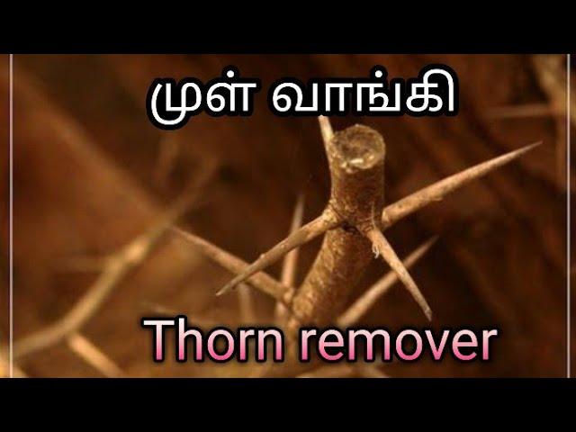 thorn remover ( முள் வாங்கி) pothu Nalam Virumbi