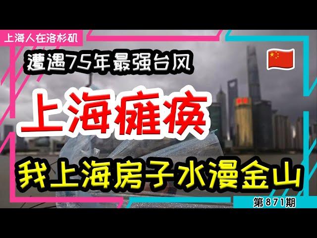 【上海瘫痪】台风天“光明村”大排长龙 “贝碧嘉”正面袭击上海主城区 #贝碧嘉 #台风 #上海 #房屋质量 #房屋养老金｜上海人在洛杉矶｜上海房价 海外置业 美国买房 加州买房  美国移民 移民生活