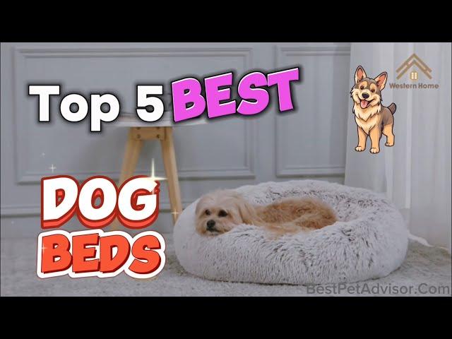 Top 5 Pet Beds for 2024