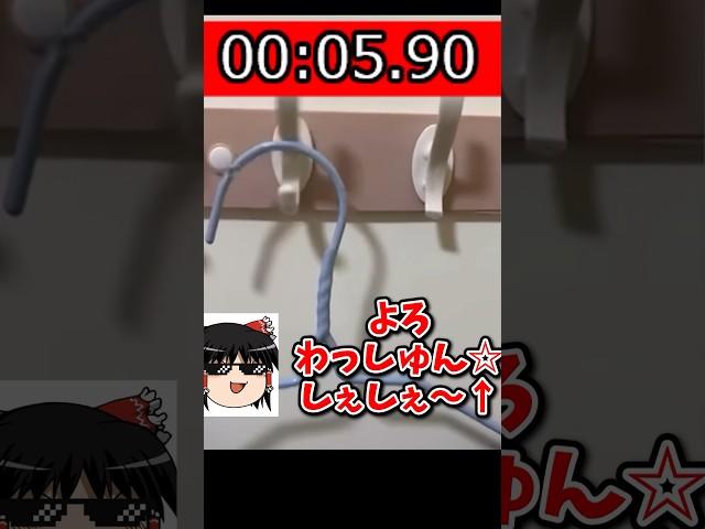 中華安物ハンガーラック_破損RTA_9秒38 #カオスRTA Part5