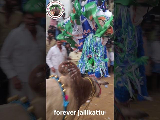 #telugu #jaganagain #cmysjaganagain #cmysjaganlatest #jagan #song #teamjallikattu#jallikattu #love