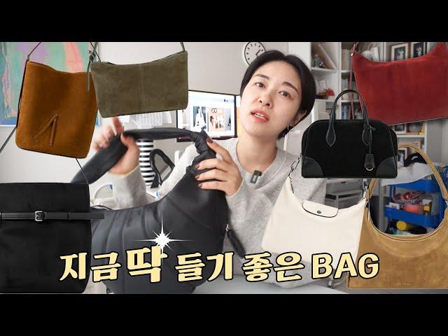 파산핑 주의보 BAG HAUL  가을겨울 이 가방이면 충분한데!? | 스웨이드 가방 추천 | 미니백부터 보부상까지 다 준비했지 | 르메르 스탠드오일 롱샴