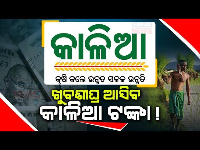 Reporter Live: Speculations Of Odisha Govt Dispatching Kalia Yojana Money Ahead Of 2024 Election