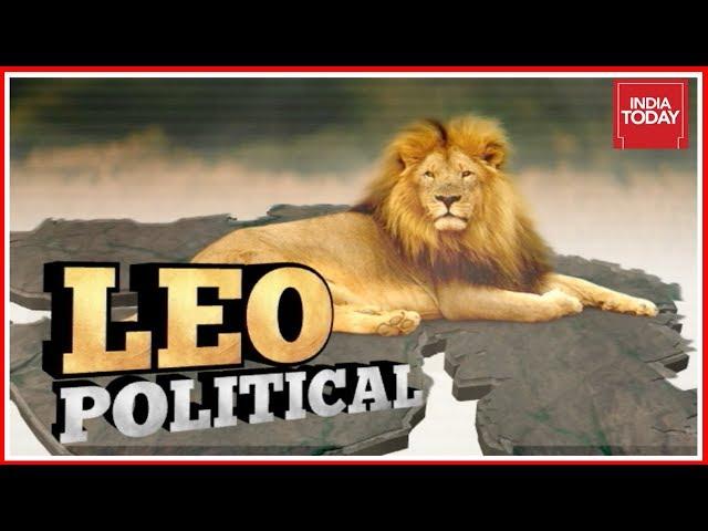 Leo Political : The Politics Around Endangered Asiatic Lions | The Long Story