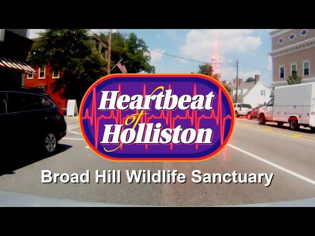 Heartbeat of Holliston: Broad Hill Wildlife Sanctuary