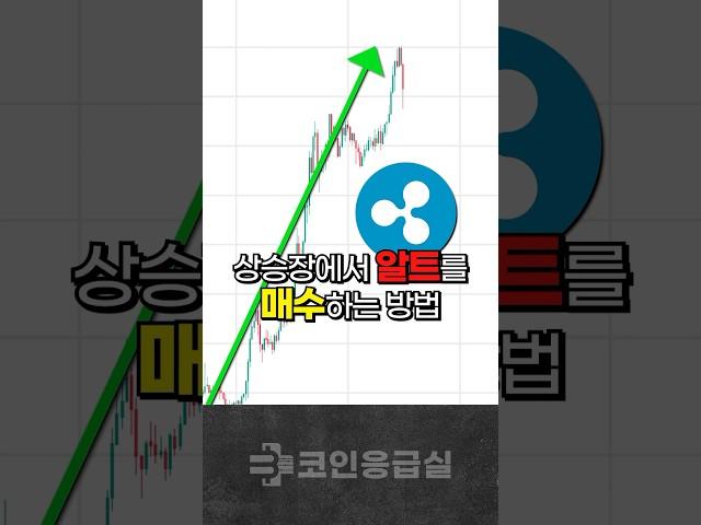 당신이 잡을 수 있는 마지막 기회 | 알트코인 상승장