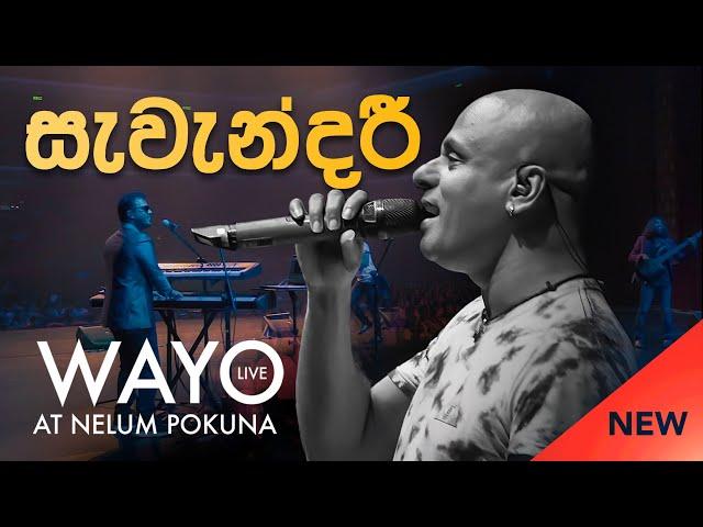 WAYO (Live) - Savendaree (සැවැන්දරී)