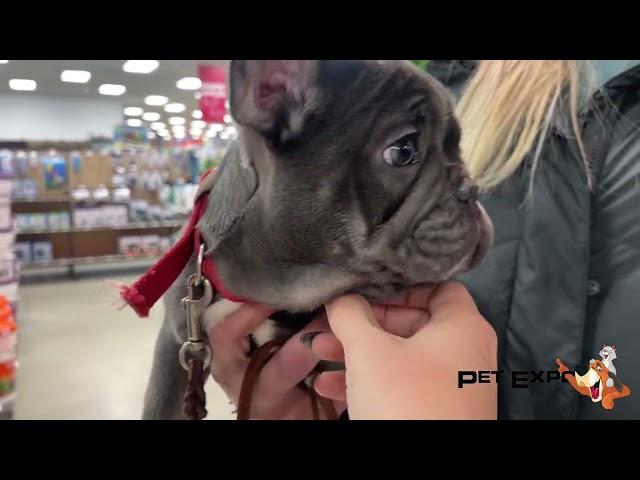 Pets That Visit Pet Expo!