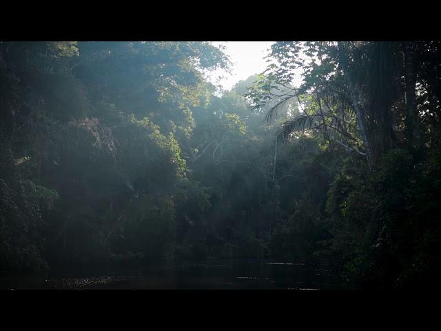 World's First Certified Quiet Park - Zabalo River, Eucador