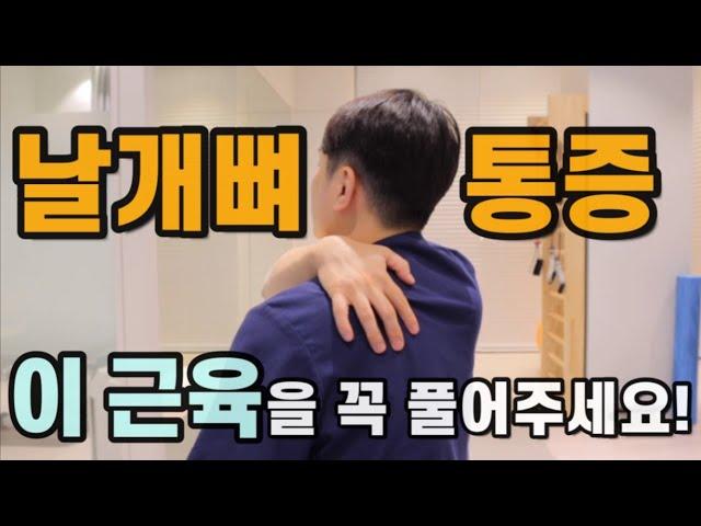날개뼈 안쪽 통증, 견갑골 주변에 담 걸렸을 때 해당부위를 마사지, 스트레칭 하면 안돼요!