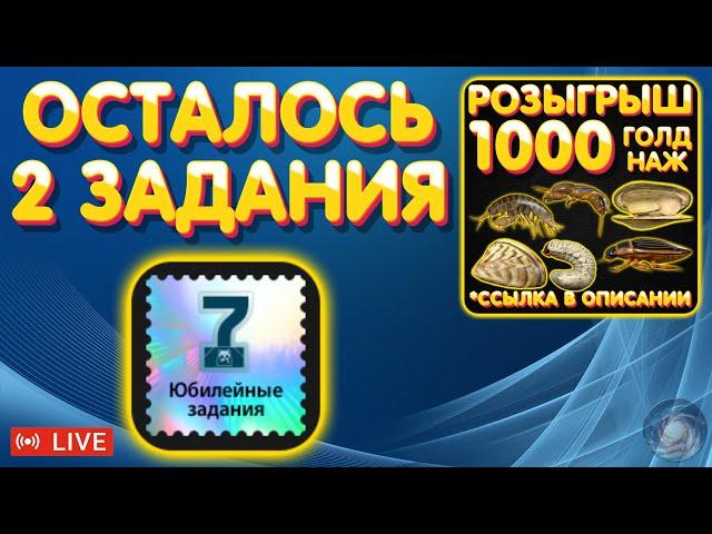 1000 голд наживки РОЗЫГРЫШ  Осталось 2 задания  ПРЕМЫ и ЗОЛОТО  Рулетка  Русская Рыбалка 4 #1098