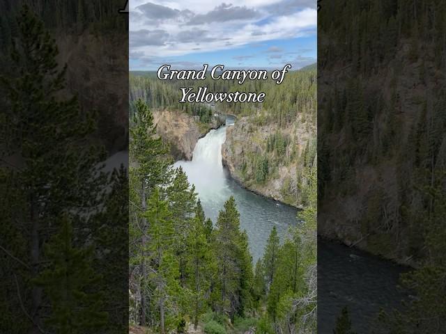 Grand Canyon of Yellowstone