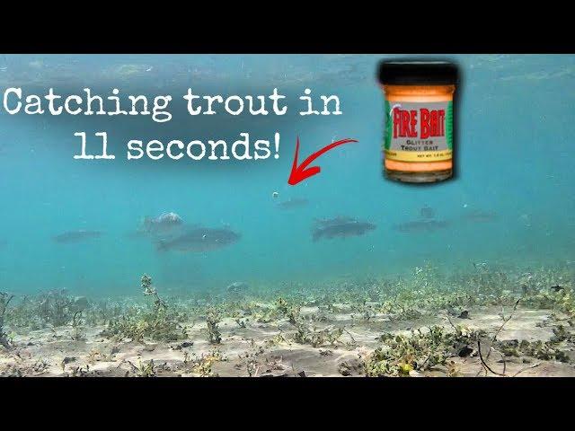 How to Catch Trout (EASY!)