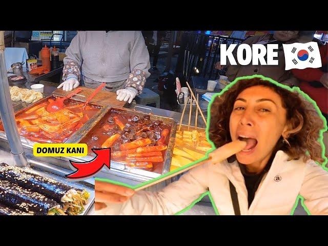 Best Korea Street Food in Busan - South Korea 