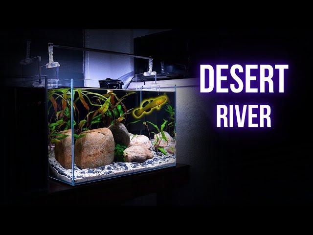 I made SIMPLE RIVER AQUARIUM for my new GOBY | Step by step AQUASCAPING TUTORIAL | EP1